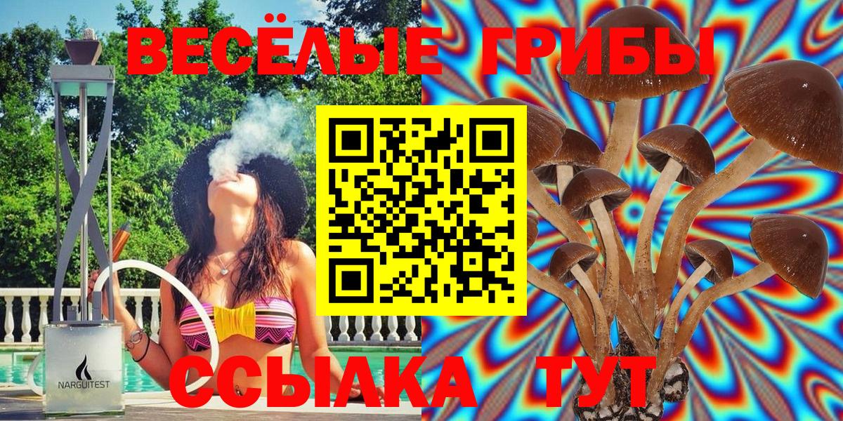 Галлюциногенные грибы MAGIC MUSHROOMS  Вход с VPN  Галлюциногенные грибы ЛСД  Кострома 