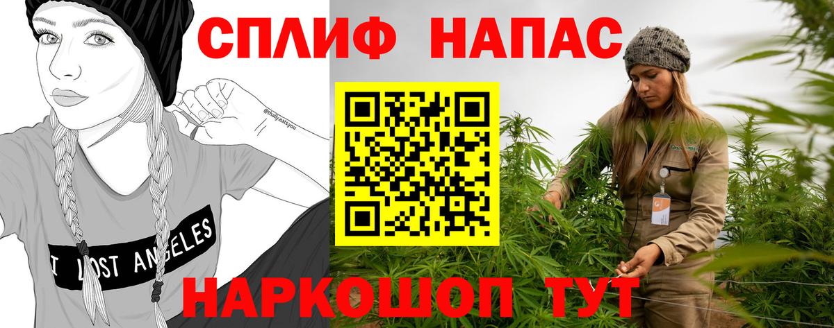 Шишки марихуана индика  Бошки Шишки Bruce Banner  Кострома  Вход с VPN 